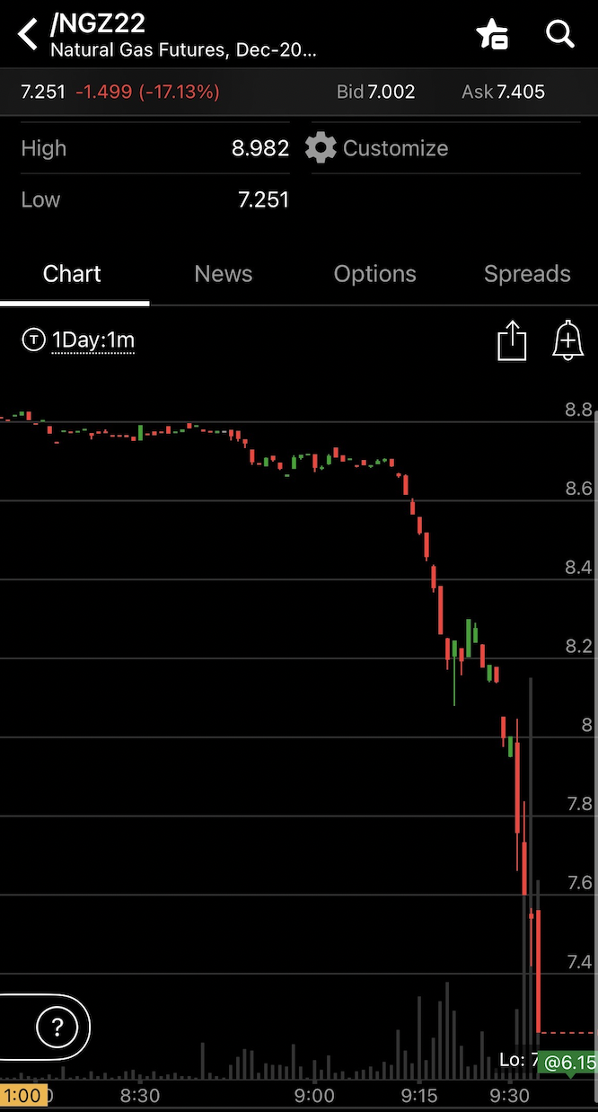 Stock price chart showing a sharp decline and slight recovery.